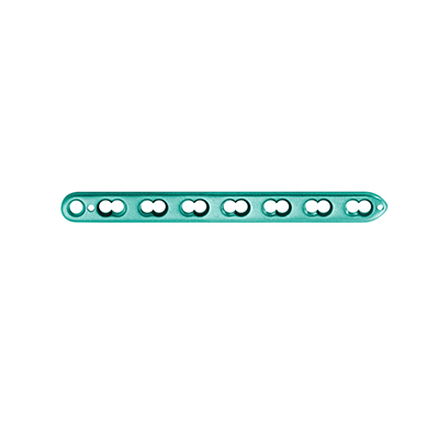 08150604