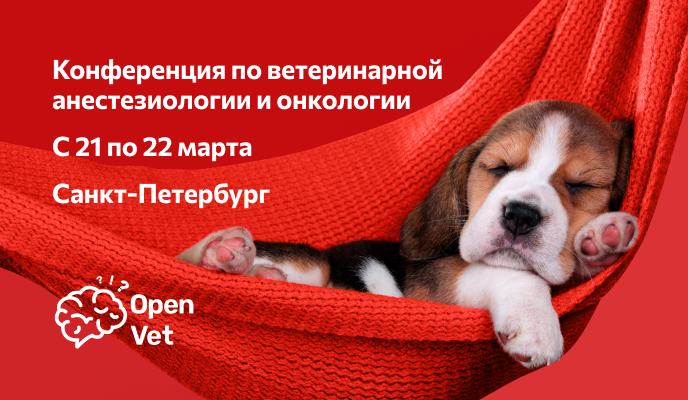 BALF на конференции по ветеринарной анестезиологии и онкологии Open Vet 2024