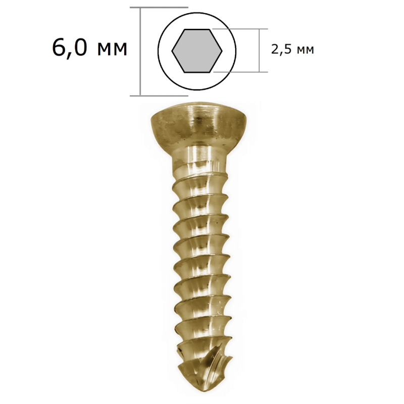 винт 3.5 кортикал гекса